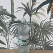 Sparkling Water (500 ml)